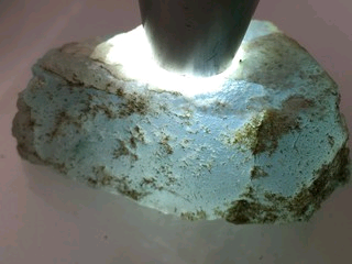 心灵的语意主播照片