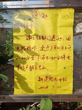 罐头，主播照片