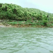 称呢不对海报