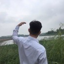 🏊d海报