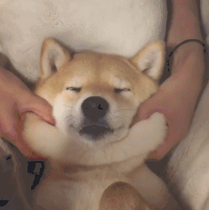 南平黄叔叔主播照片