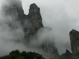 台州花大牛主播照片