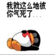 小笨笨zy