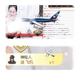 罐头，主播照片