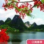 江南春草｡◕‿◕｡