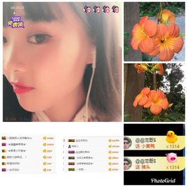 ✿「果果』小猪主播照片