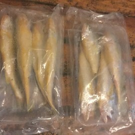 ♬5♛000主播照片