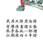 墨染青荷，