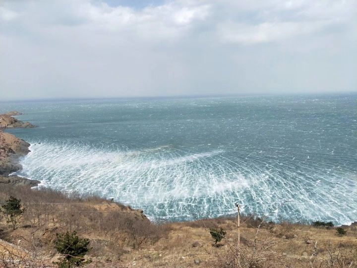 海鲜农场史掌柜的主播照片