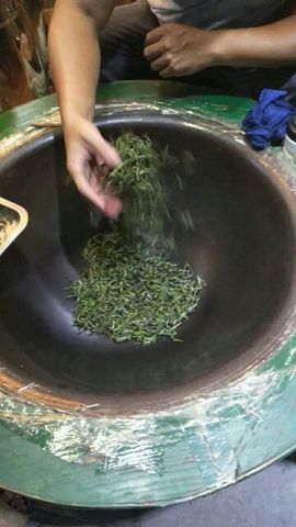 🍀茶妹👒生活茶主播照片