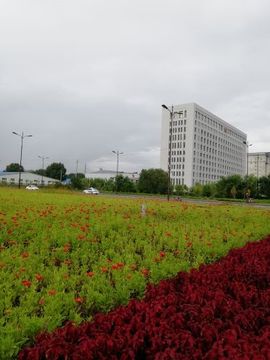 行中国观风景主播照片