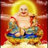 枫树农资经营部