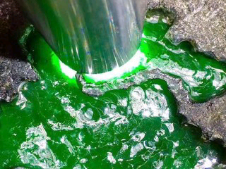 🌴柠萌🌴的主播照片