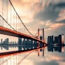年轮w$海报