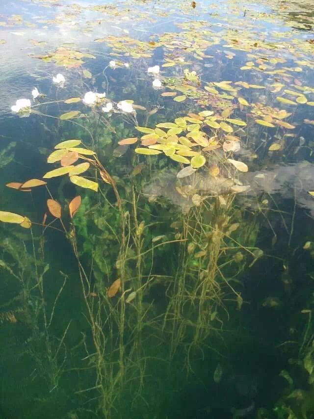 张大大翡翠的主播照片