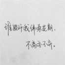 王大菲是猪