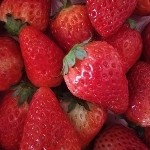 多啦A梦De果果