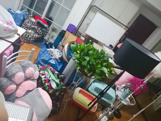 阿兮╮唱啥嘞主播照片
