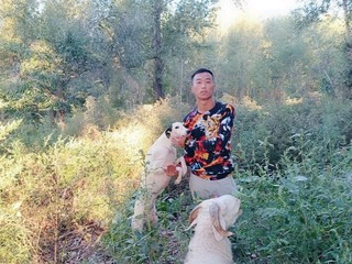 老张n0的主播照片