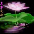 昵称违规，请重新修改