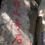 来看老朋友