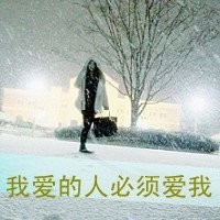 玫瑰花4113025主播照片