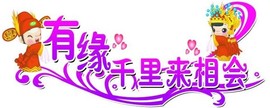 玫瑰花4113025主播照片