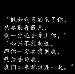 玫瑰花4113025主播照片