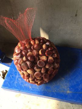 山东农副土特产品主播照片