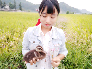 天河人鱼主播照片