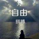 米斯特李y