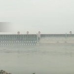 你个批是个人了黑心批海报