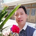 临海你好的头像