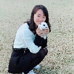 1537278119海报