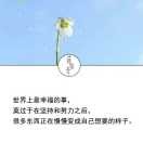 今生只愿和你在一起