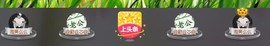 百变玲姐主播照片