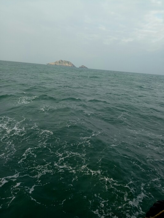 浪子☞逍遥的主播照片