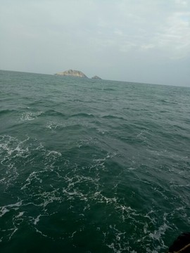 浪子☞逍遥主播照片