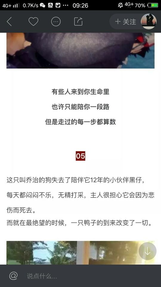 亮宝恭贺老大元始天尊主播照片