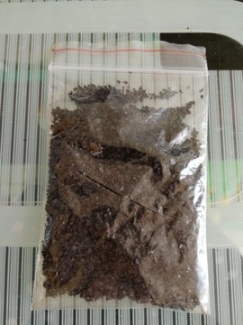 俏不争春，今晚休息主播照片