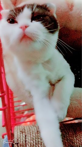 ☆诺熙💞很甜主播照片