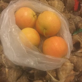 新人21😌主播照片