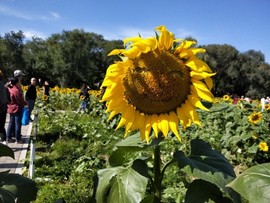 九零后小奋青主播照片