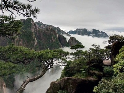 ❀龍叔的主播照片