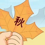 ☞沙发王平凡！☜