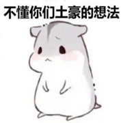 是不团支书