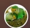 专属俊❤蔠嚸℡詀