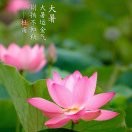 阿龙jz*