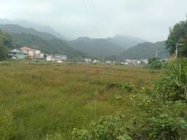 淏天、大自然哥主播照片