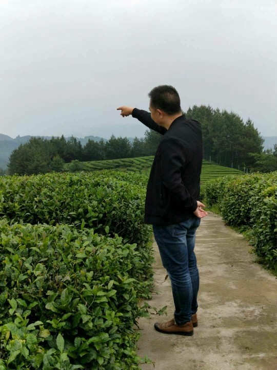 往事隨風(fēng)g*6x的主播照片